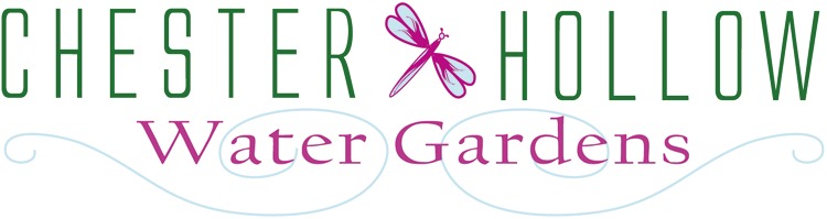 Chester Hollow Water Gardens