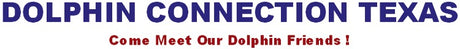 Dolphin Connection