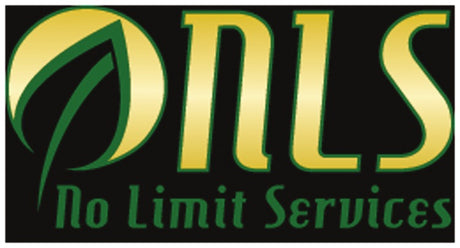 No Limit Services