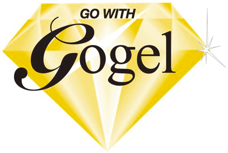 Gogel Tire