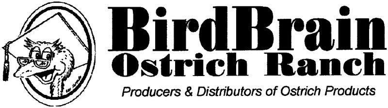 Bird Brain Ostrich Ranch