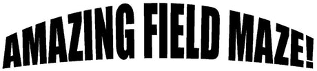 Amazing Field Maze