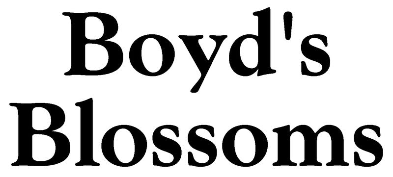 Boyd's Blossoms