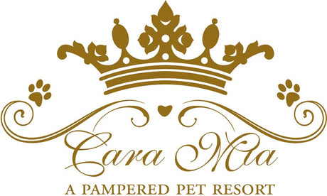 Cara Mia a Pampered Pet Resort