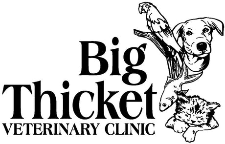 Big Thicket Veterinary Clinic
