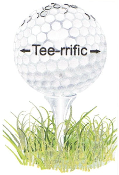 Tee-rrific Golf Center