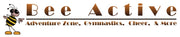 Bee Active Adventure Zone