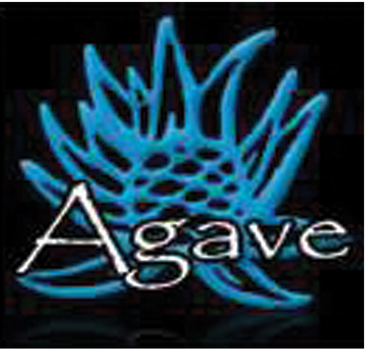 Agave Grill