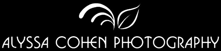 Alyssa Cohen Photography
