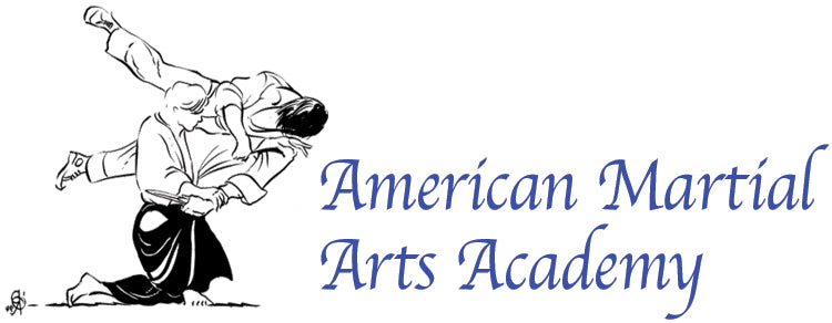 American Martial Arts Academy