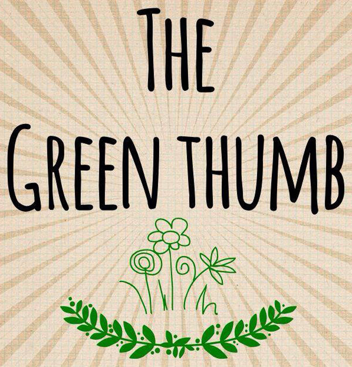 Caddy Shack Country Club at Green Thumb Nursery