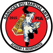 Sanuces Ryu Martial Arts Academy 3